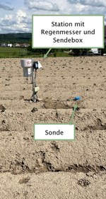 Sondede
